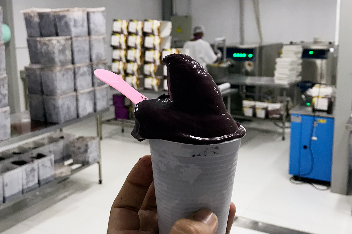 Sorvete de Açaí - Cometa Açaí Atacadista